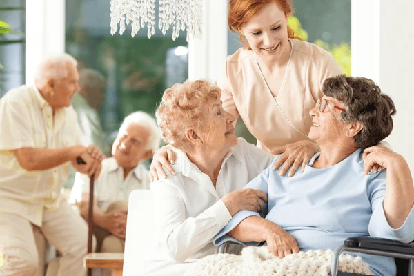 the Best Patient Lift Transfer Chairs for Home Use 2025 –Making Mobility Easier for Loved Ones ( 3 Styles)